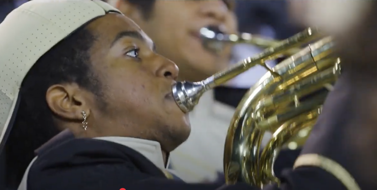 Music as a Unifier